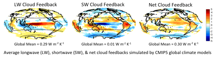 Average longwave (LW), shortwave (SW), and net cloud feedbacks as
simulated by global climate
models